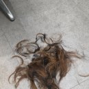[ 2동탄 / 영천동 ] 미용 기능장 1인 헤어샵 '몽자언니헤어샵' 내돈내산 염색+컷트 후기
