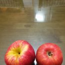 정임농장 이미지