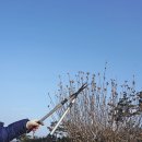 서부직업전문학교