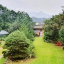 솔바람 힐링하우스 이미지