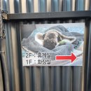 워시랜드 순천점 이미지