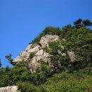 돌다리주유소 이미지