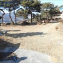 대행목장 이미지