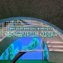 신제주 | 제주 아이웨어 브랜드 블루엘리펀트 신제주점 방문 후기