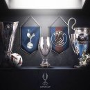 ‘챔스 우승’ 이뤄낸 PSG 이강인.. 이미지