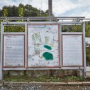 오돌개마을 이미지