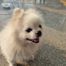 구미대로 이미지