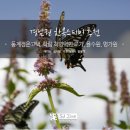 재능교육산청율수원주 | 경남권 한옥스테이 추천