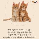 잠꾸러기 - 제천시 탑안로10길 4 | 잠꾸러기