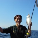 낚시배민박 이미지