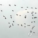 동림농장 이미지