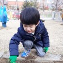 셀라어린이집 이미지