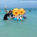 남산미래여행사 | [추억 세계여행] 태국 #5 방콕 파타야 여행 산호섬 여행 |단체 패키지가 자유여행이 된 날: 파타야 산호...