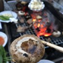 엘리스산장 이미지