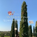 동화민박 | 이탈리아 토스카나｜동화 같은 농가민박 라소바나 (La sovana)아그리투리스모 숙소 후기🤍