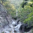 [정기 산행사진] 울진 산불발생으로 몸살앓고 있는 응봉산_2022.08.27(토) 이미지