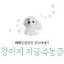 비바동물병원 이미지