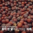 광주엠비씨프렌즈