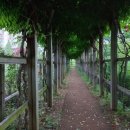 금오행정사 이미지