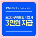 강아지친구 | 혼자였던 내 삶에 새로운 친구가 찾아왔어요 강아지 입양 후기