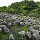 한라산국밥