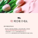 용문우체국 | 웨딩부케말리기, 웨딩부케액자, 택배 발송도 가능한 티니안플라워