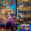 5일장 주차장 이미지