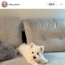 매실한우광양불고기식당 이미지