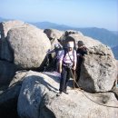 뽀숑뽀숑 이미지