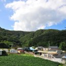 복흥하마마을 이미지