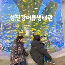 쉬리고기마당 | 구례 섬진강어류생태관 아이들과 전남 구례 여행 코스