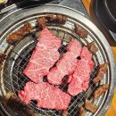 꽃보다한우