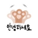 드라이브 in 콘서트 이미지