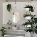 스테이스튜디오 | 합정 자연광 스튜디오 스테이치즈 렌탈스튜디오 쇼핑몰촬영 후기 추천