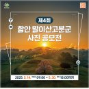 함안-4 이미지