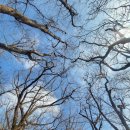 오름요양병원 이미지