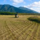 뉴월드파크 이미지