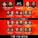 김민재, 황희찬, 이강인, UFC, 손흥민 렛츠 고 이미지