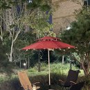 엘 그라나이노 | 보람동 술집 엘그라나이노 샹그리아바 스페인 음식 전문점(메뉴/가격)