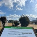 제주 이시돌목장 테시폰식 주택 | [제주여행] 성이시돌목장 - 무료입장 개이득여행지 / 테시폰식 주택 주차 화장실 카페 우유부단 미스터밀크