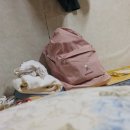 구담포레스트 이미지