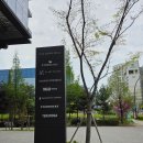 마곡도넛 | 마곡 원그로브몰 미디어아트 관람후기