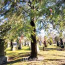 나무와창 이미지