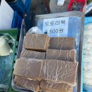 강릉로컬트립 : 농산물새벽시장에 가다.(feat. 샤인머스켓 5천원)