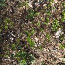 북간도목장 이미지