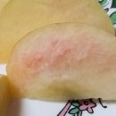 이언농장 네이버블로그