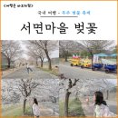 서면마을 | 무주 가볼만한곳 서면마을 벚꽃 축제 관람 후기, 데이트 추천