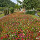 삼수동 주민복지센터 이미지