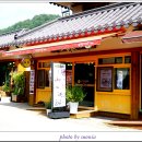 오대산 달빛 이미지