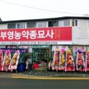 부영농약종묘사 이미지